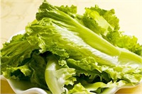 生菜