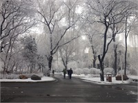 雪景