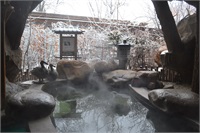 雪景