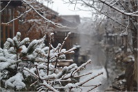雪景