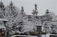 雪景
