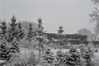 雪景