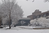 雪景