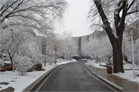 雪景
