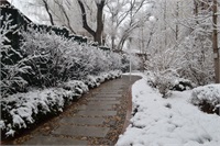 雪景