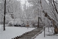 雪景
